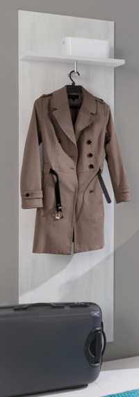 Věsáková stěna Sarracena sosna světlá