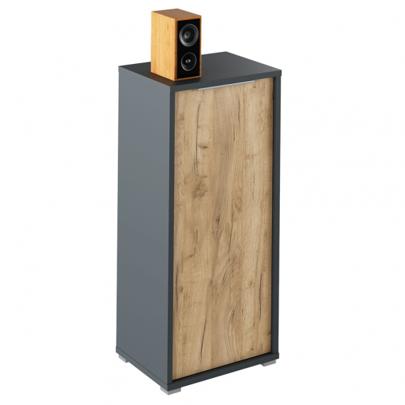 Skříňka, grafit/dub artisan, RIOMA TYP 10